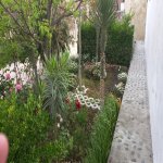 Kirayə (aylıq) 3 otaqlı Bağ evi, Abşeron rayonu 31