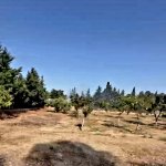 Продажа Участок, пос. Нардаран, Сабунчу район 3