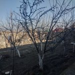 Satılır 8 otaqlı Həyət evi/villa, Saray, Abşeron rayonu 4