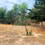 Satılır Torpaq, Qaraçuxur qəs., Suraxanı rayonu 5