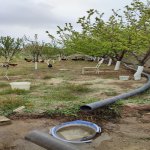 Satılır 3 otaqlı Həyət evi/villa, Buzovna, Xəzər rayonu 29