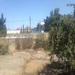 Satılır Torpaq, Novxanı, Abşeron rayonu 2