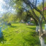 Satılır Obyekt Şamaxı 18