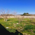 Satılır Torpaq, Koroğlu metrosu, Bilgəh qəs., Sabunçu rayonu 4