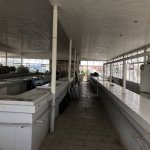 Satılır Obyekt Qobustan 8