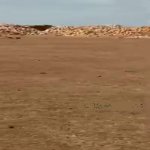 Satılır Torpaq, Qobu, Abşeron rayonu 3