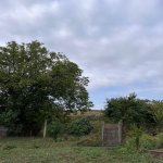 Satılır Torpaq İsmayıllı 1