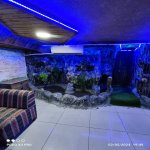 Kirayə (aylıq) Obyekt, 9-cu mikrorayon, Binəqədi rayonu 9