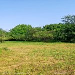 Satılır Torpaq Qəbələ 5