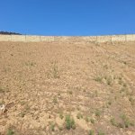 Satılır Torpaq, Novxanı, Abşeron rayonu 6
