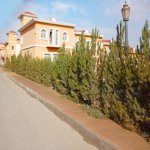 Satılır 8 otaqlı Həyət evi/villa, Novxanı, Abşeron rayonu 5