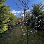 Kirayə (aylıq) 5 otaqlı Bağ evi, Mərdəkan, Xəzər rayonu 27