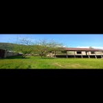 Satılır Torpaq Qəbələ 17