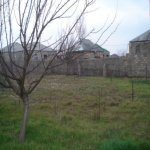 Satılır Torpaq, Maştağa qəs., Sabunçu rayonu 1