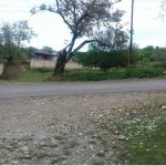 Satılır Torpaq Quba 2