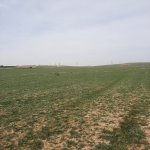Продажа Участок, Гобу, Абшерон район 6