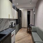 Kirayə (aylıq) 3 otaqlı Yeni Tikili, Gənclik metrosu, Nərimanov rayonu 18