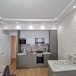 Kirayə (aylıq) 3 otaqlı Yeni Tikili, 28 May metrosu, Nəsimi rayonu 9