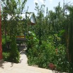 Kirayə (günlük) 2 otaqlı Həyət evi/villa İsmayıllı 4