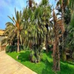 Kirayə (aylıq) 12 otaqlı Bağ evi, Mərdəkan, Xəzər rayonu 13
