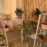 Продажа 3 комнатная Новостройка, м. Нефтчиляр метро, Низаминский р-н район 15