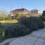 Kirayə (aylıq) 4 otaqlı Bağ evi, Goradil, Abşeron rayonu 12