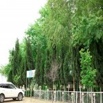 Satılır Obyekt Hacıqabul 3