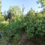 Продажа 3 комнат Дома/Виллы, пос. Маштага, Сабунчу район 3