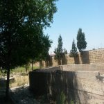 Satılır Torpaq, Saray, Abşeron rayonu 2