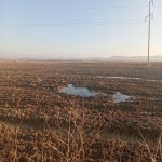 Satılır Torpaq, Pereküşkül, Abşeron rayonu 3