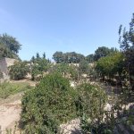 Satılır 5 otaqlı Bağ evi, Bilgəh qəs., Sabunçu rayonu 25