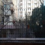 Kirayə (aylıq) 2 otaqlı Köhnə Tikili, Elmlər akademiyası metrosu, Yasamal qəs., Yasamal rayonu 8