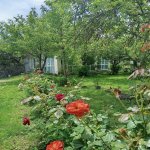 Посуточно 2 комнат Дома/Виллы Гах 14