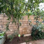 Satılır 5 otaqlı Həyət evi/villa Xırdalan 10