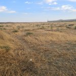 Продажа Участок, Сарай, Абшерон район 14