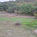 Satılır Torpaq Xızı 3