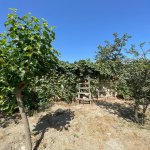 Продажа Участок Мингячевир 4