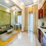 Аренда 5 комнатная Новостройка, м. 28 Мая метро, Насими район 13