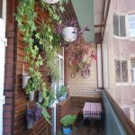 Аренда 3 комнатная Новостройка, м. Гянджлик метро, Центр Гейдара Алиева, Наримановский р-н район 6