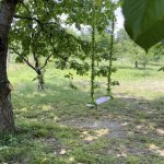 Kirayə (günlük) 3 otaqlı Həyət evi/villa Quba 16