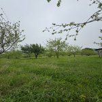 Satılır Torpaq İsmayıllı 4