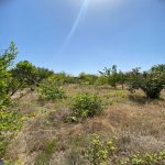 Satılır Torpaq, Novxanı, Abşeron rayonu 5
