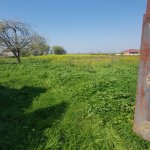 Продажа 5 комнатная Дома/Виллы Масаллы 12