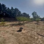 Продажа Участок, пос. Нардаран, Сабунчу район 11