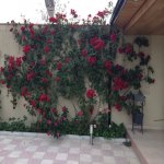 Satılır 6 otaqlı Bağ evi, Novxanı, Abşeron rayonu 12