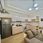 Kirayə (aylıq) 1 otaqlı Yeni Tikili, 28 May metrosu, Nərimanov rayonu 5
