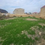 Satılır Torpaq, Saray, Abşeron rayonu 1