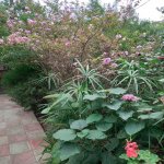 Продажа 7 комнат Дома/Виллы, м. Короглу метро, пос. Сабунчу, Сабунчу район 15