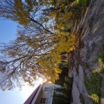 Satılır 10 otaqlı Həyət evi/villa, Saray, Abşeron rayonu 5