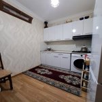 Satılır 2 otaqlı Yeni Tikili, Yeni Günəşli qəs., Suraxanı rayonu 12